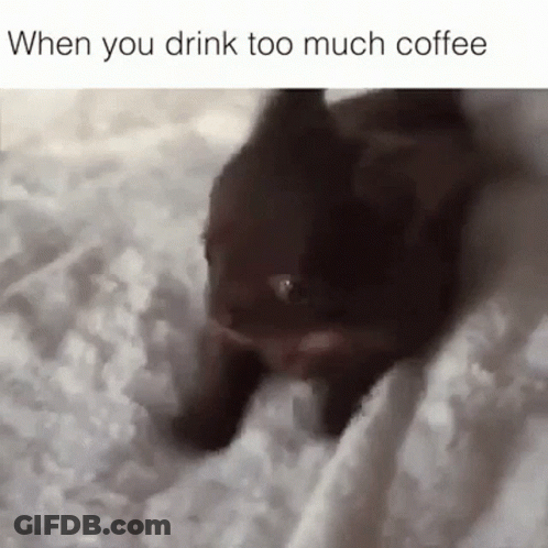 A Cat Is Laying On A Bed With A Caption That Says When You Drink Too Much Coffee . GIF