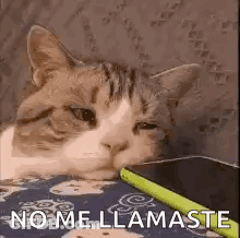 A Cat Is Laying On A Bed With A Pen In Its Mouth And A Cell Phone . GIF