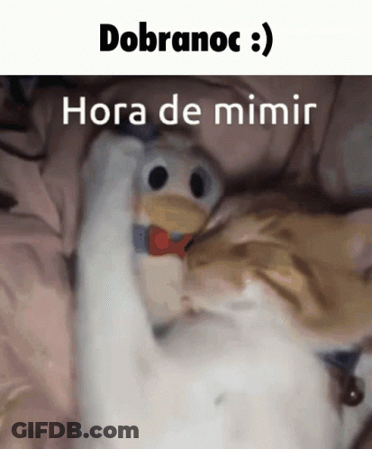 A Cat Is Laying On A Bed With A Stuffed Duck And The Words " Dobranoc " Written Above It GIF