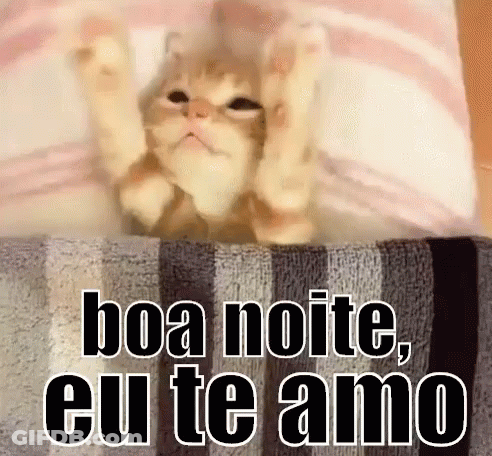 A Cat Is Laying On A Bed With The Words Boa Noite , Eu Te Amo Written On It . GIF