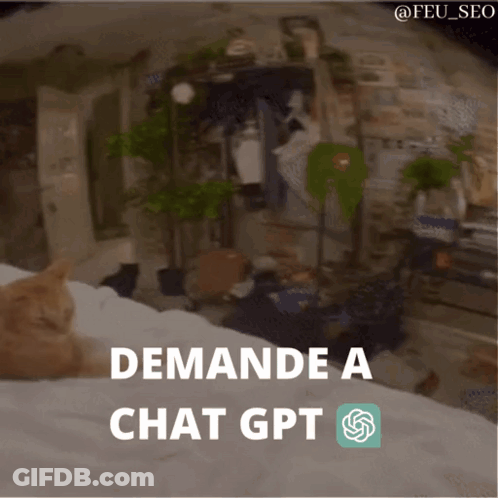 A Cat Is Laying On A Bed With The Words Demande A Chat Gpt GIF