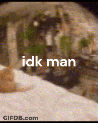 A Cat Is Laying On A Bed With The Words Idk Man On The Bottom GIF