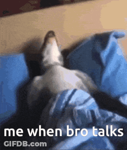 A Cat Is Laying On A Bed With The Words " Me When Bro Talks " Below It GIF