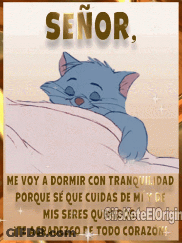 A Cat Is Laying On A Bed With The Words Señor Written Above It GIF