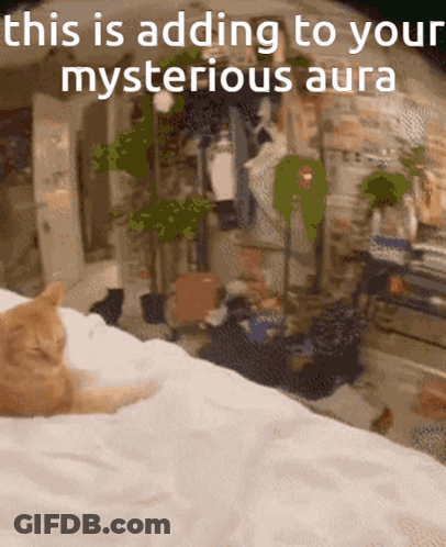 A Cat Is Laying On A Bed With The Words " This Is Adding To Your Mysterious Aura " Above It GIF