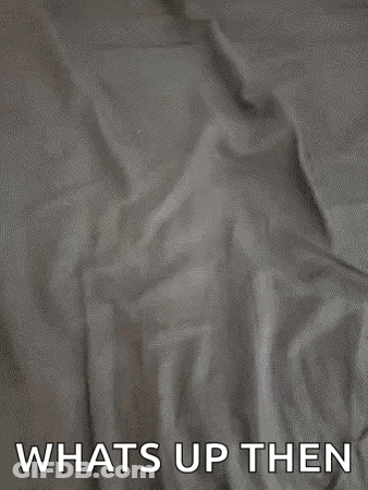 A Cat Is Laying On A Bed With The Words `` Whats Up Then '' Written Below It . GIF