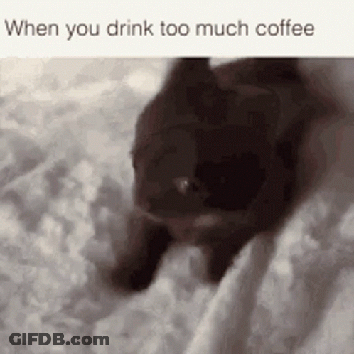 A Cat Is Laying On A Bed With The Words When You Drink Too Much Coffee On The Bottom GIF