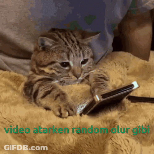 A Cat Is Laying On A Blanket Looking At A Cell Phone With The Words Video Atarken Random Olur Gibi Below It GIF