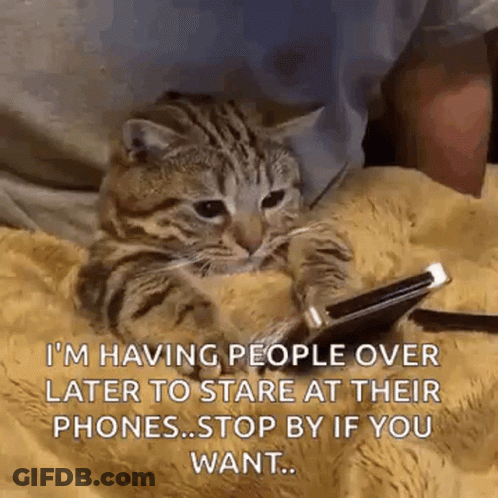 A Cat Is Laying On A Blanket With A Cell Phone In Its Paws . GIF
