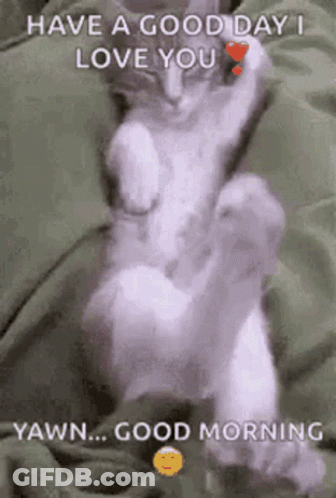 A Cat Is Laying On A Blanket With A Heart On Its Paw . GIF