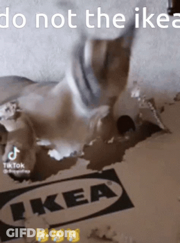 A Cat Is Laying On A Cardboard Box That Says Ikea On It GIF