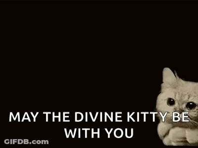 A Cat Is Laying On A Cloud With The Words `` May The Divine Kitty Be With You '' Written Below It . GIF