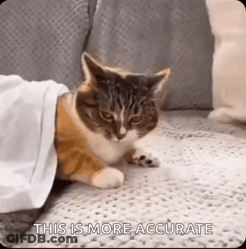 A Cat Is Laying On A Couch Under A Blanket And Looking At The Camera . GIF