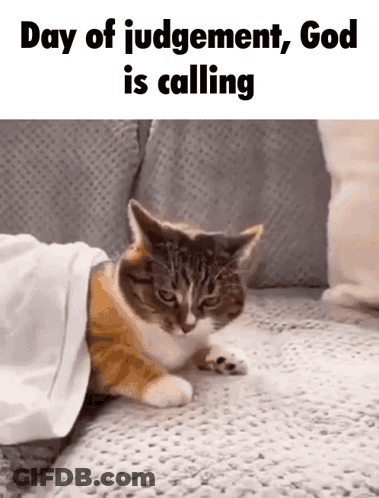 A Cat Is Laying On A Couch Under A Blanket With The Words Day Of Judgement God Is Calling GIF