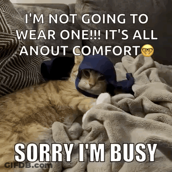 A Cat Is Laying On A Couch Wearing A Blue Hat And Glasses . GIF