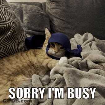 A Cat Is Laying On A Couch With A Caption That Says Sorry I M Busy GIF