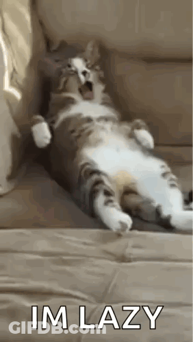 A Cat Is Laying On A Couch With Its Mouth Open And The Words `` Im Lazy '' Below It . GIF