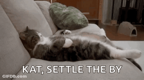 A Cat Is Laying On A Couch With Kat Settle The By Written Above It . GIF