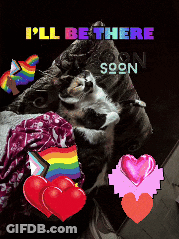 Cat Laying On Couch With I'll Be There Soon Words GIF