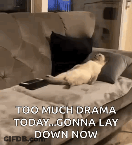 A Cat Is Laying On A Couch With The Words Too Much Drama Today Gonna Lay Down Now Below It GIF