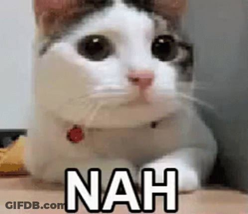 A Cat Is Laying On A Person 'S Lap And Looking At The Camera With The Words `` Nah '' Written On It . GIF