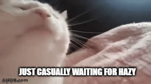 A Cat Is Laying On A Person 'S Lap And The Caption Says Just Casually Waiting For Hazy GIF
