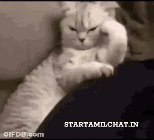 A Cat Is Laying On A Person 'S Lap And The Website Starttamilchat.in Is Displayed GIF