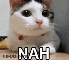 A Cat Is Laying On A Person 'S Lap With The Word Nah Written On Its Face . GIF