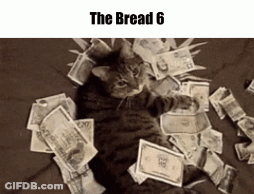 A Cat Is Laying On A Pile Of Money With The Words The Bread 6 Below It GIF