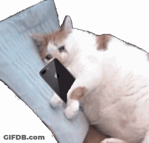 A Cat Is Laying On A Pillow Holding An Apple Phone GIF