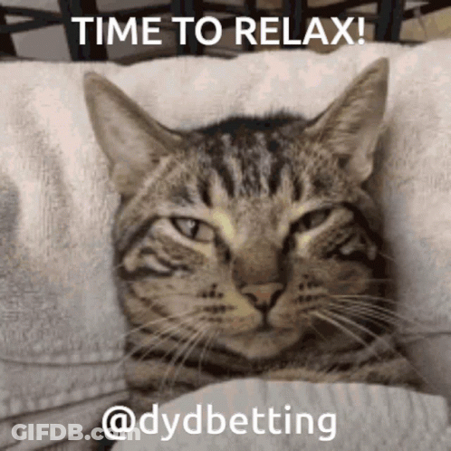 A Cat Is Laying On A Pillow With The Words Time To Relax Written Above It GIF