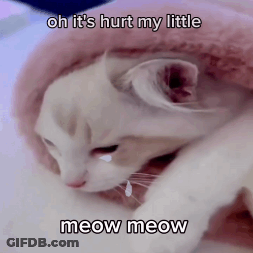 A Cat Is Laying On A Pink Blanket With A Caption That Says Oh It 'S Hurt My Little Meow Meow GIF