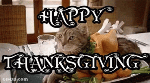 A Cat Is Laying On A Plate Of Food With The Words Happy Thanksgiving Written Below It GIF