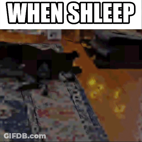 A Cat Is Laying On A Rug In A Living Room With The Words When Shleep Above It GIF
