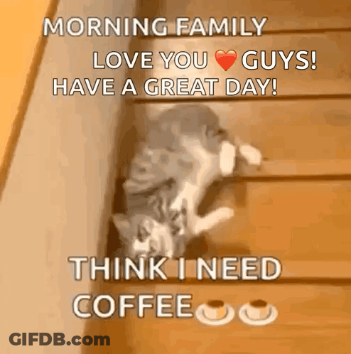 A Cat Is Laying On A Set Of Stairs And Says Morning Family Love You Guys GIF