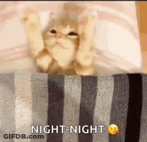 A Cat Is Laying On A Striped Blanket And Says Night Night GIF