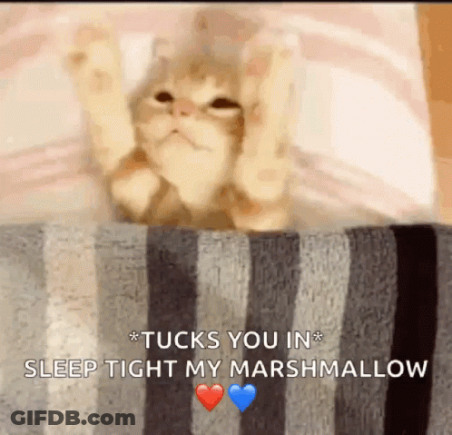 A Cat Is Laying On A Striped Blanket With Its Paws In The Air . GIF