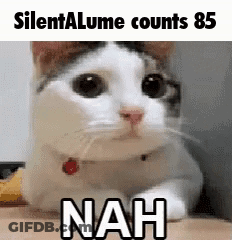 Cat Laying On Table Looking At Camera GIF