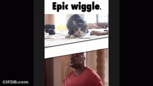 A Cat Is Laying On A Table Next To A Man In A Red Shirt GIF