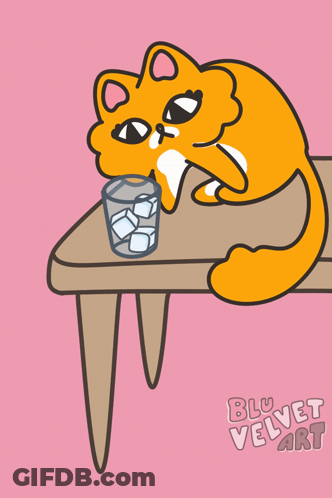 A Cat Is Laying On A Table With A Bottle Of Ice Cubes On It GIF