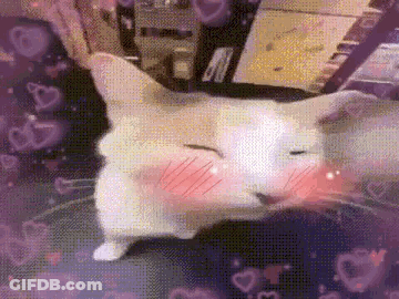 A Cat Is Laying On A Table With Its Eyes Closed And Hearts Flying Around It . GIF