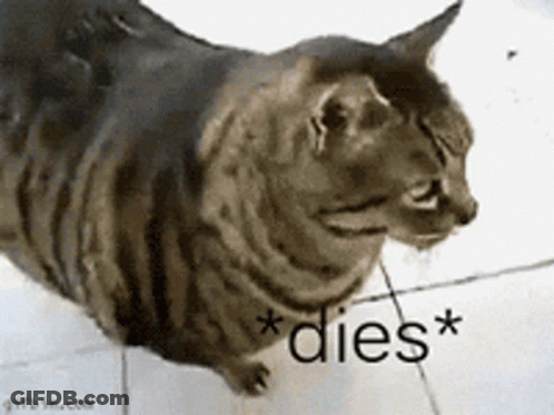 A Cat Is Laying On A Tiled Floor With The Words * Dies * Written On It GIF