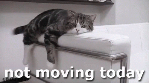 A Cat Is Laying On A White Couch With The Words `` Not Moving Today '' Above It . GIF