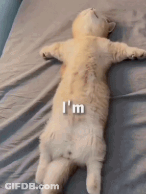 A Cat Is Laying On Its Back On A Bed With A Caption That Says I 'M GIF