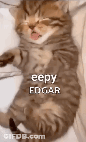 A Cat Is Laying On Its Back On A Bed With Its Tongue Hanging Out . GIF