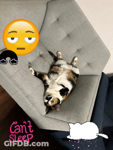 A Cat Is Laying On Its Back On A Couch With The Words " Can 'T Sleep " On The Bottom GIF