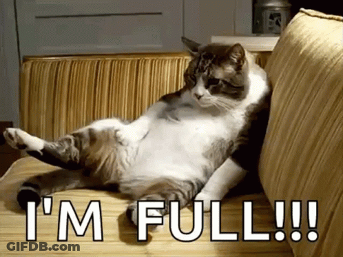 A Cat Is Laying On Its Back On A Couch With The Words " I 'M Full " Above It GIF