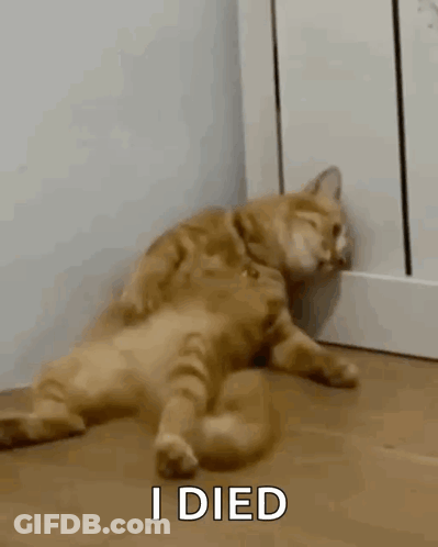 A Cat Is Laying On Its Back On The Floor Next To A Radiator . GIF