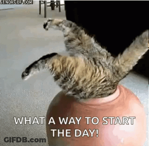 A Cat Is Laying On Its Back On Top Of A Ball With The Words `` What A Way To Start The Day ! '' GIF