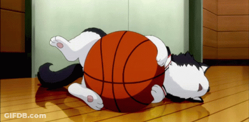 A Cat Is Laying On Its Back With A Basketball GIF